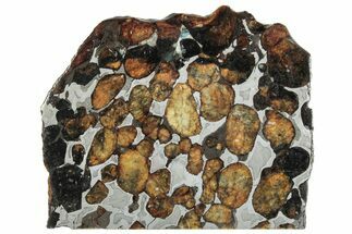 Polished Sericho Pallasite Meteorite ( g) Slice - Kenya #291269