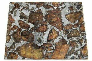 Brahin Pallasite Meteorite ( g) Slice - Belarus #291299