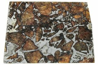 Brahin Pallasite Meteorite ( g) Slice - Belarus #291300