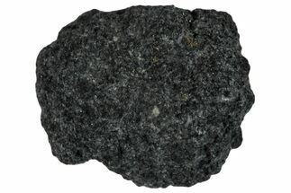 Carbonaceous Chondrite Meteorite Fragment ( g) - NWA #291375