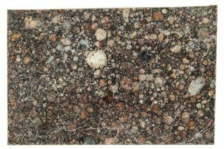 LL Chondrite Meteorite ( g) Slice - NWA #291386