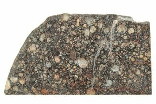 LL Chondrite Meteorite ( g) Slice - NWA #291393
