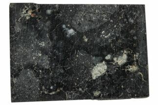 Polished, Starry Night Lunar Meteorite Slice ( g) - NWA #291435