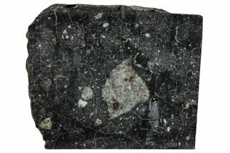 Polished Lunar Meteorite Section ( g) - NWA #291442