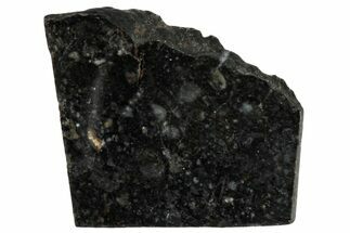 Polished Lunar Meteorite Slice ( g) - NWA #291443