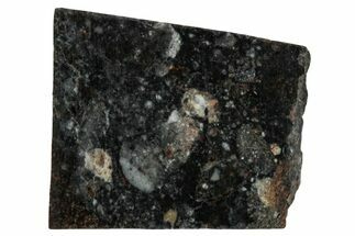 Polished Lunar Meteorite Slice ( g) - NWA #291444