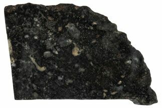 Polished Lunar Meteorite Slice ( g) - NWA #291445