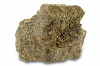 Abadla CM Chondrite Meteorite ( g) - Algeria #291504
