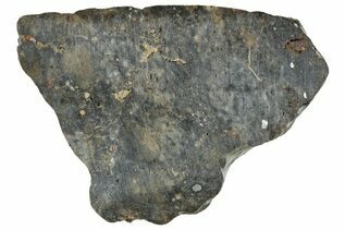 Laayoune 002 Meteorites For Sale