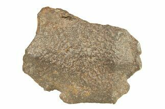 Gebel Kamil Iron Meteorite ( g) - Egypt #291815
