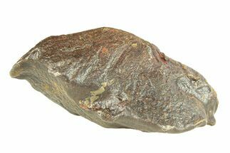 Gebel Kamil Iron Meteorite ( g) - Egypt #291818