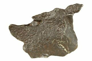 Gebel Kamil Iron Meteorite ( g) - Egypt #291820
