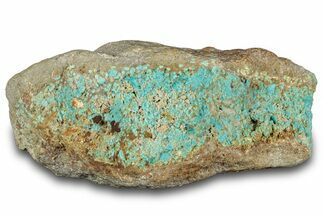 Tumbled Turquoise Section - Number Mine, Carlin, NV #292283