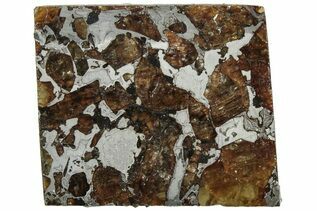 Brahin Pallasites For Sale