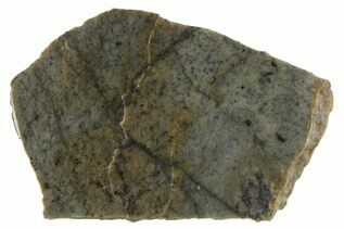 NWA 14188 Meteorites For Sale