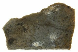 NWA 14188 Meteorites For Sale