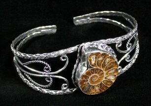 Ammonite Fossil Bracelet #3147