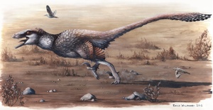 Newly Described Dakotaraptor: A Giant Raptor From The Hell Creek Formation