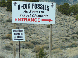 Trip Report: U-Dig Trilobite Quarry – March, 2014