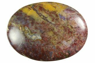 Petrified Palm Root Pocket Stones - Red Color
