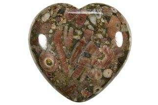 1.7" Colorful Fossil Crinoid Stems In Marble Hearts