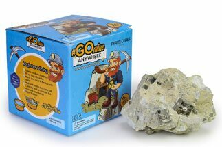 Natural Spain Cubic Pyrite Crystal Mining Kit 