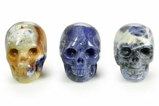 1.5" Polished Sodalite Skulls