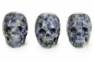 1.5" Polished "Blue Point Sodalite" Skulls
