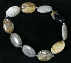 Polished Petrified Palmwood Bracelet #24665