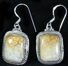 Beautiful Fossil Coral Sunburst Earrings - Sterling Silver #26569
