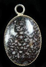 Small Colorado Agatized Dinosaur Bone Pendant #26981