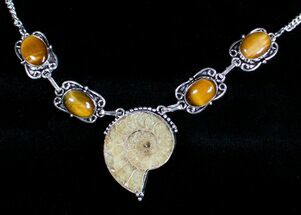 Fossil Ammonite Necklace With Tigerseye #3592