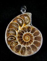 Polished Ammonite Pendant #3607