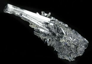 Metallic Stibnite Cystals - China #31563