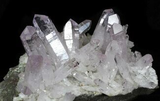 Spectacular Amethyst Crystal Cluster - Las Vigas, Mexico #31946