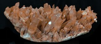 Amazing Tangerine Quartz Crystal Cluster - Madagascar #32264