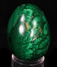 Gorgeous Polished Malachite Egg - Congo #33494