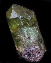 Apatite Crystal - Durango, Mexico #33515