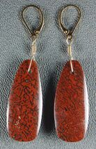 Large, Red Agatized Dinosaur Gembone Earrings #33826