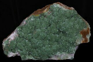 Bright Green Botryoidal Fluorite - Huge Plate #33921