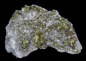 Golden Chalcopyrite Specimen - Missouri #35113