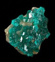 Chip Sized, Emerald-Green Dioptase Cluster - Kazakhstan #34982