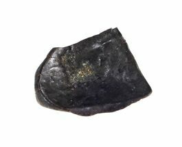 fossil 4003