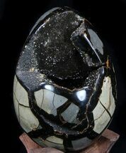 Septarian Dragon Egg Geode - Shiny Black Crystals #36048