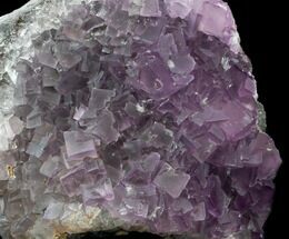 Cubic, Purple Fluorite Crystal Cluster - China #33710