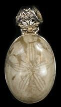 Polished Fossil Sand Dollar Pendant - Sterling Silver #38118