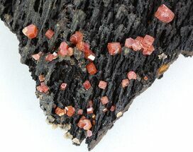 Red Vanadinite Crystals Manganese Oxide - Morocco #38495