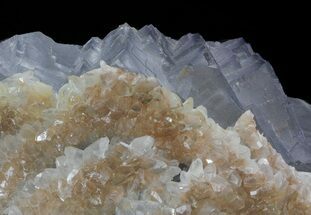 Fluorite Cube Cluster with Calcite Crystals - Pakistan #38652