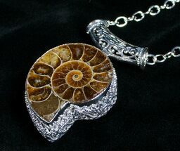 Ammonite Necklace - Million Year Old Fossil #4229