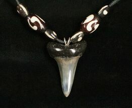 Polished Fossil Mako Tooth Necklace #4228